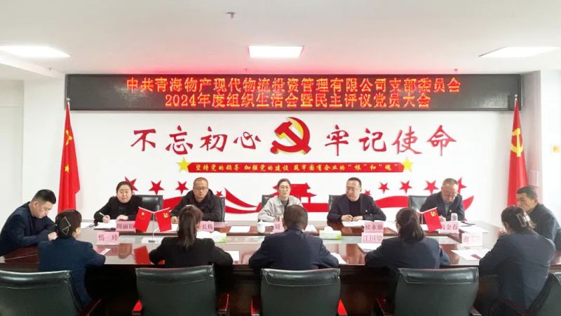 現(xiàn)代物流公司黨支部召開2024年度組織生活會(huì)暨民主評議黨員大會(huì)