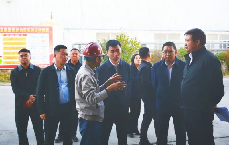 大通縣委副書記、縣長馬明旭一行蒞臨工投公司調(diào)研指導(dǎo)